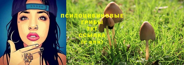 марихуана Абаза